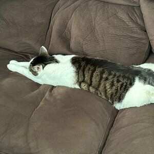 Meet your Posher, Richard